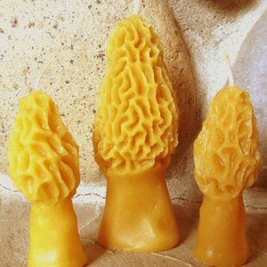 Beeswax Morel Candles ~Handcrafted with Love